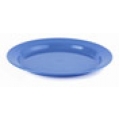 Plastic Plate