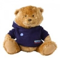 Girl Guide Bear with Hoody Girl Guide Bear with Hoody