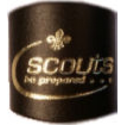 Scout Gold Embossed Leather Woggle