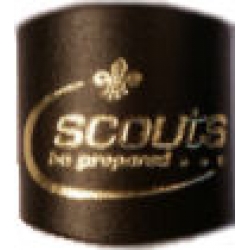 Scout Gold Embossed Leather Woggle